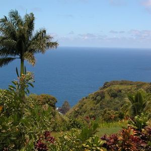 Meet your Posher, Monique